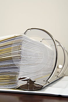 Papers in a ring binder