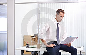 Paperwork, reading and man in office with report, sales review or profit stats in folder at accounting agency. Documents