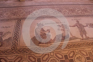 Paphos mosaic photo