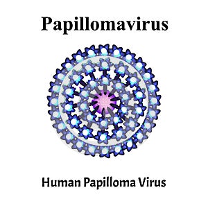 Papilloma is a human virus structure. Papilloma virus infection. Sexually transmitted diseases. Infographics. Vector