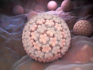 Papilloma Virus. HPV photo