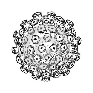 Papillomavirus isolated on white background. Hand drawn realistic detailed scientifical vector illustration in sketch style