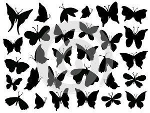 Papillon silhouette. Mariposa butterfly wing, moth wings silhouettes and spring flower butterflies isolated vector