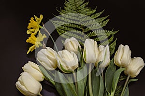 Yellow daffodils and white tulips on a green fern leaf lies on a black background