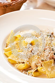 Pappardelle pasta with cheese, mushrooms and meat photo