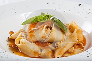 Pappardelle with tomato sauce photo