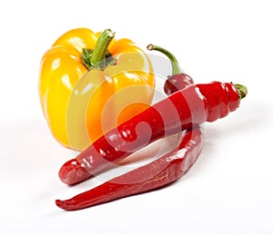 Papper & cucumber on white background