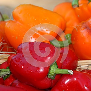 Paprica Picture - Fall Stock photos