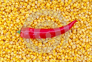 Paprika on corn as background