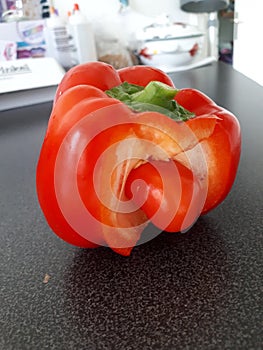 Paprika Pepper with baby youngster