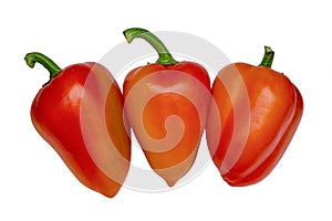 Paprika. Pepper red. Bell pepper isolated. Sweet red peppers. With clipping path. Full depth of field