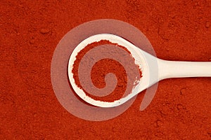 Paprika powder photo