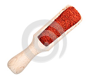 Paprika powder in wooden scoop cutout on white