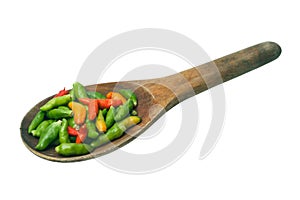 Paprika and wooden ladle.