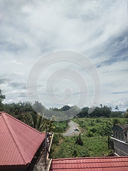 Papua a full Green forests