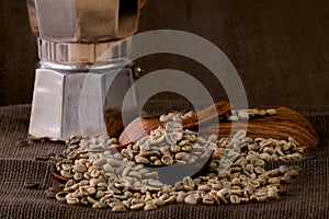 Papua New Guinea Organic PSC Raw Coffee Beans