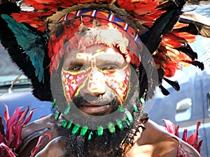 Papua Warrior