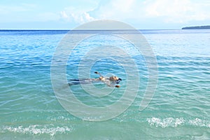 Papuan woman swimming in tropical sea