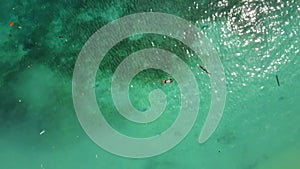 Papuan woman swimming in tropical sea