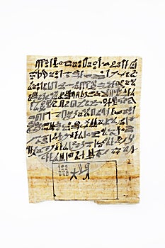 Papyrus containing the anthem of Sekhmet-Bast, daughter of Ra Book of the Dead, chapter CLXIV 164 in hieratika