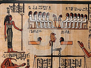 Papyrus with elements of egyptian ancient history