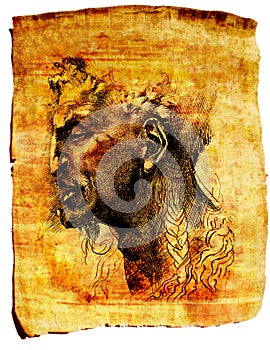 Papyrus Paper Sketch