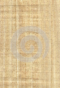 Papyrus texture