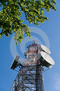 Parabolic antennas on steel communications tower under blue sky with tree branch