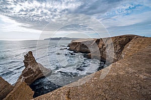 Paracas National Reserve, Paracas, Ica Region, Peru.