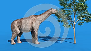 Paraceratherium Dinosaurs Eats Blue Screen Side Loop 3D Renderings Animations