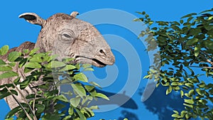 Paraceratherium Dinosaurs Eats Close Blue Screen Loop 3D Renderings Animations