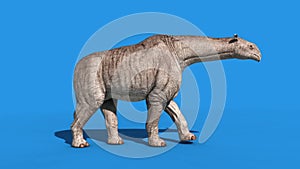 Paraceratherium Dinosaurs walk side Blue Screen 3D Renderings Animations