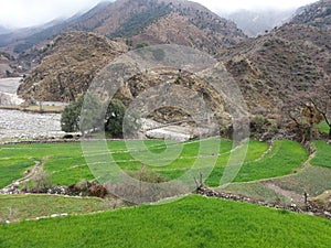 Parachinar Kurram District Para Chamkani Makhrani Valley