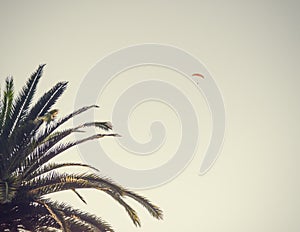 Parachuter on a background