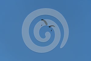 Parachuting exercises of soldiers in parachuting on a blue sky background