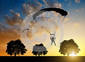 Parachutist landing at sunset photo