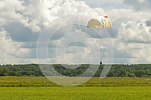 Parachutist lands in a field of grass