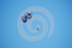 Parachutists flying in a pair under one dome against the background of a cloudless blue sky.