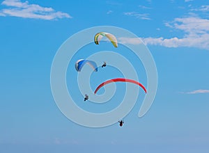 Parachutists on paragliders fly