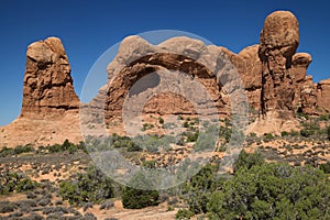 Parade of Elephants in Arches National Park