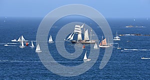 Parade of tall ships