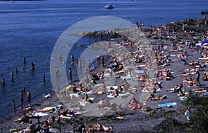 Paradisbukta beach