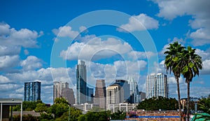 Paradise Austin Texas Skyline Sunny Day Blue Sky with Two Tropical Palm Trees photo