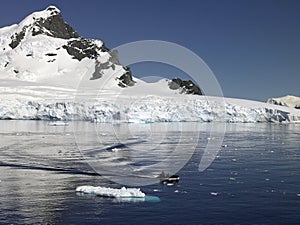 Paradise Bay - Antarctica