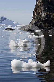 Paradise Bay, Antarctica.