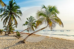 Paradise Beach also called Playa Paraiso at sunrise - beautiful and tropical caribbean coast of Tulum in Quintana Roo, Riviera