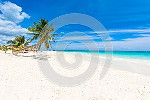 Paradise Beach (also known for Playa Paraiso) at sunny summer day - beautiful and tropical caribbean coast at Tulum in Quintana