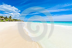 Paradise Beach (also known for Playa Paraiso) at sunny summer day - beautiful and tropical caribbean coast at Tulum in Quintana