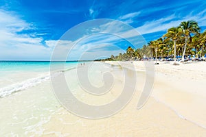 Paradise Beach (also known for Playa Paraiso) at sunny summer day - beautiful and tropical caribbean coast at Tulum in Quintana