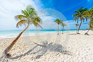 Paradise Beach (also known for Playa Paraiso) at sunny summer day - beautiful and tropical caribbean coast at Tulum in Quintana